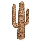 Grand cactus déco matière végétale H 75cm