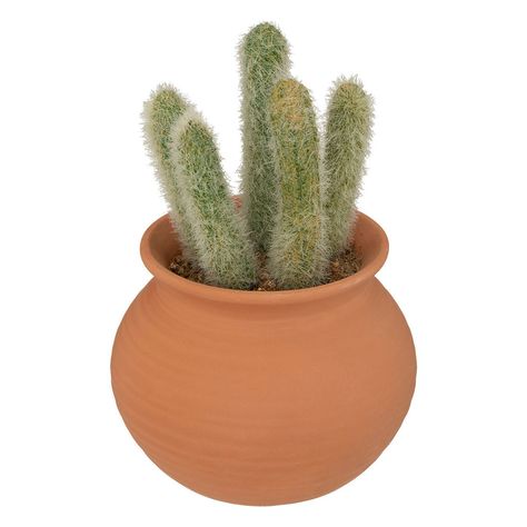 Cactus artificiel dans un pot terracotta H 16.5cm