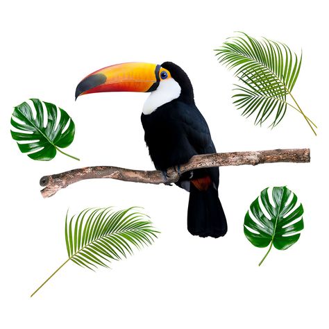 Sticker mural déco tropical toucan 70x50cm