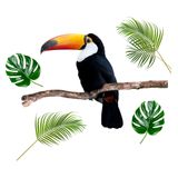 Sticker mural déco tropical toucan 70x50cm