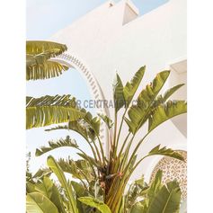 Affiche déco Djerba 30x40cm