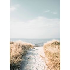 Affiche déco dune 21x29.7cm