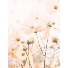 Affiche déco fleurs champêtre 30x40cm