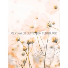 Affiche déco fleurs champêtre 30x40cm