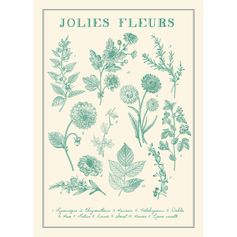 Affiche déco Herbier jolies fleurs 21x29.7cm