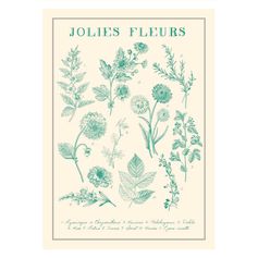 Affiche déco herbier jolies fleurs 50x70cm