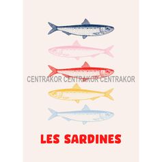 Affiche déco les sardines 21x29.7cm