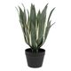 Agave artificielle PANAMA H 55cm