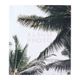 Album photos palmier 400 vues 37.5x33cm