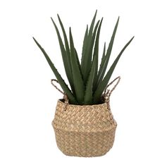 Aloe artificielle en panier naturel D 24x H 37cm