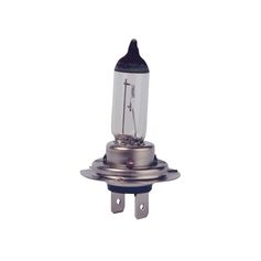 Ampoule halogène H7 55W 12V