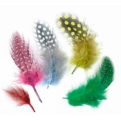 Assortiment de 50 plumes multicolores
