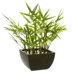 Bambou artificiel en pot H 35cm