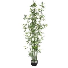 Bambou artificiel pot en céramique H 180cm