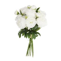 Bouquet de 13 pivoines blancs artificiels H 50cm