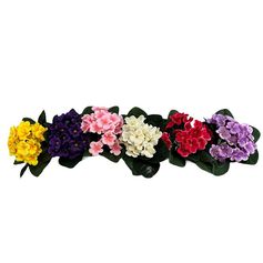 Bouquet de primevères 25 têtes polyester 16x18cm