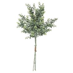 Bouquet eucalyptus artificiel H 64cm