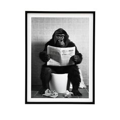 Cadre animaux WC noir et blanc 45x60cm