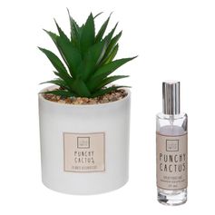 Coffret senteur cactus avec spray parfum 9.5x19cm