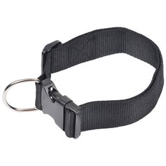 Collier noir chien 70cm