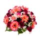 Composition de roses gerberas et orchidées 29 têtes tergal 40x31cm