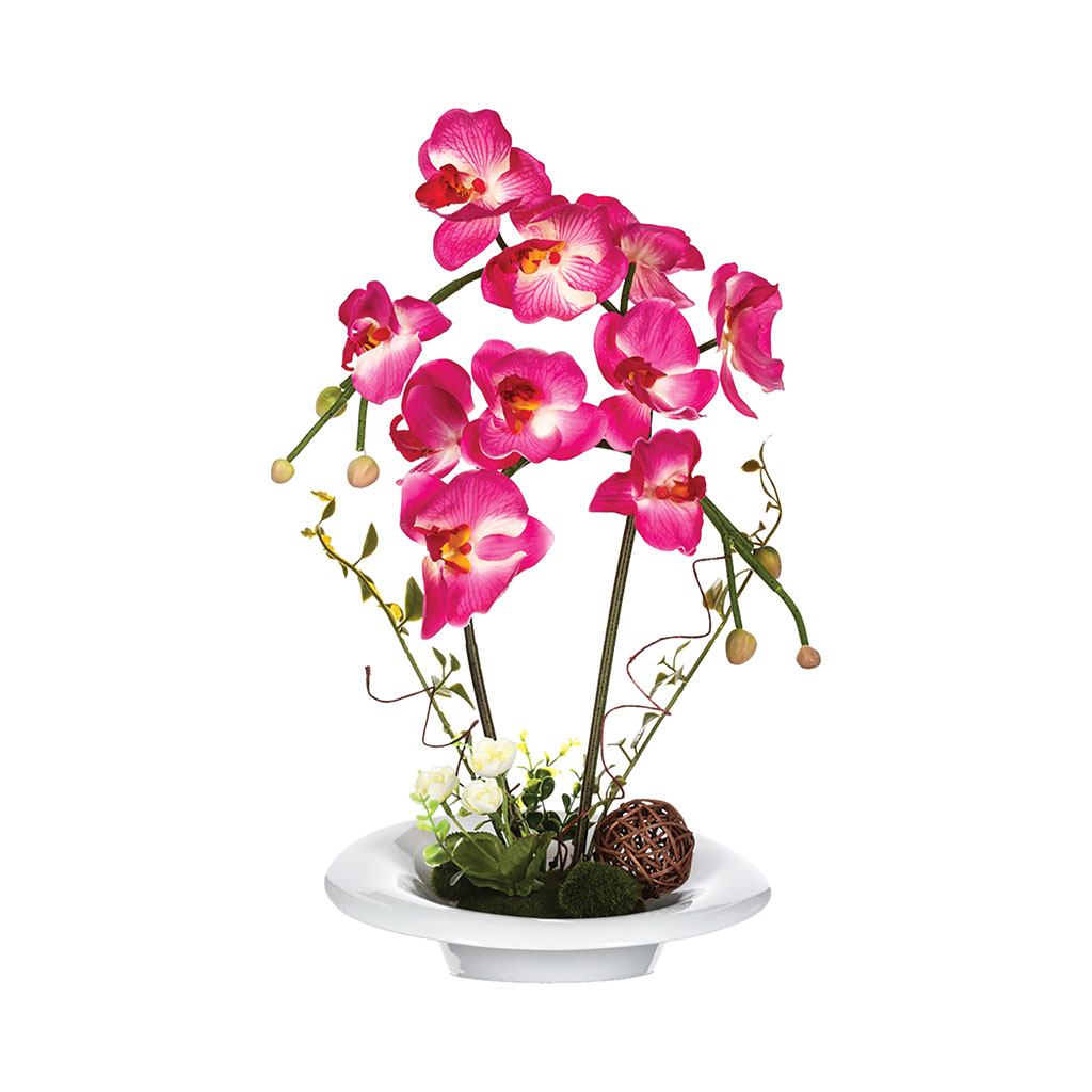 Composition florale orchidée et vase céramique H 46cm - Centrakor