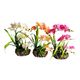 Composition orchidées artificielles pot racine d'arbre 20x39cm