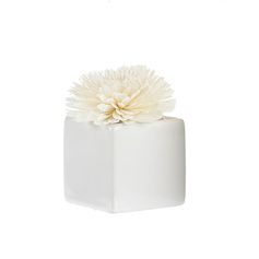 Contenant carré céramique pour fleur blanc 80ml - GOA