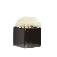 Contenant carré céramique pour fleur noir 80ml - GOA