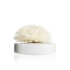 Contenant rond céramique pour fleur blanc 200ml - GOA