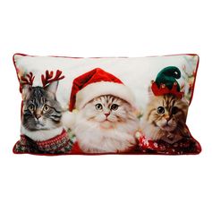 Coussin rectangulaire chat noël 30x50cm