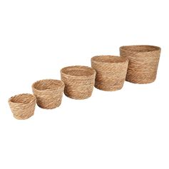 Couvercle alimentaire réutilisable transparent lot de 30 26x15.5x2cm