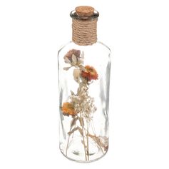 Déco bouteille en verre et fleurs séchées H 28cm