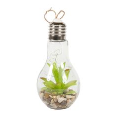 Déco lumineuse ampoule avec plante artificielle 10x21x10cm