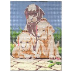 Kit point de croix chiots 15x20cm