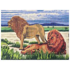 Kit point de croix lions 15x20cm