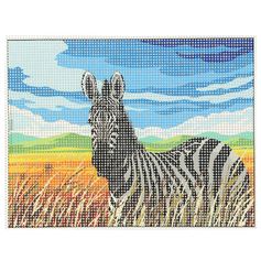 Kit point de croix zèbre 15x20cm