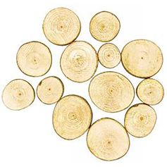 Lot de 10 tranches de bois rondes