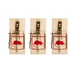 Lot de 3 pièges à souris bois et acier 9.8x0.6x4.7cm