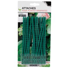 Lot de 30 attaches vertes pour plantes grimpantes