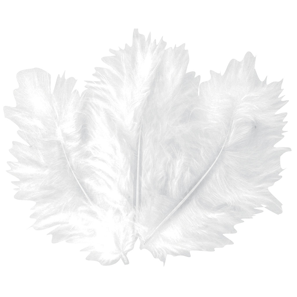 Lot de 50 plumes blanches - Centrakor