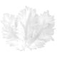 Lot de 50 plumes blanches