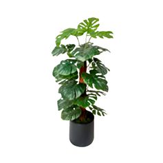 Monstera artificiel 28 feuilles avec pot 50x120cm