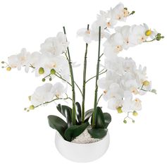 Orchidée artificielle dans son pot en céramique blanc H 65cm