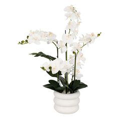 Orchidée artificielle en pot MICK blanc H 80cm