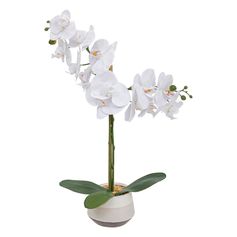 Orchidée artificielle et pot céramique H 52cm