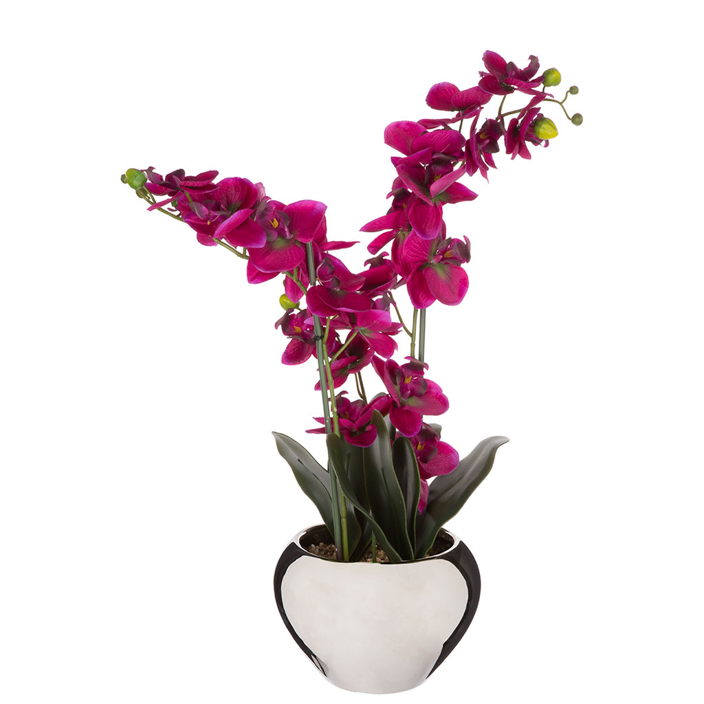Orchidées artificielles pot grès H 55cm - Centrakor