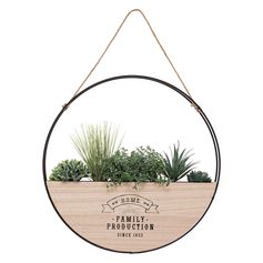 Plante artificielle à suspendre support bois D 44cm