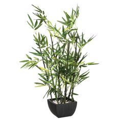 Plante artificielle bambou avec pot H 76cm