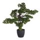 Plante artificielle bonsaï H 80cm